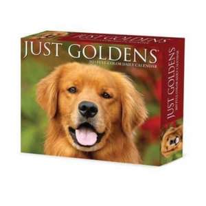 Goldens 2025 6.2 X 5.4 Box Calendar de Willow Creek Press