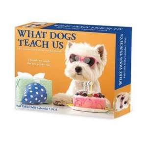 What Dogs Teach Us 2025 6.2 X 5.4 Box Calendar de Willow Creek Press