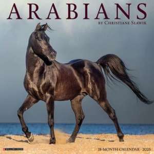 Arabians 2025 12 X 12 Wall Calendar de Willow Creek Press