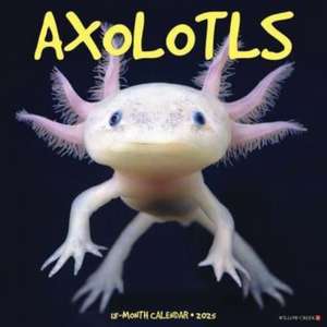 Axolotls 2025 12 X 12 Wall Calendar de Willow Creek Press