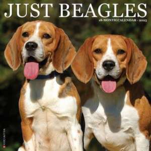 Just Beagles 2025 12 X 12 Wall Calendar de Willow Creek Press