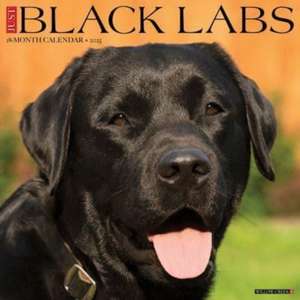 Just Black Labs 2025 12 X 12 Wall Calendar de Willow Creek Press