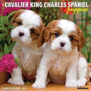 Just Cavalier King Charles Spaniel Puppies 2025 12 X 12 Wall Calendar de Willow Creek Press