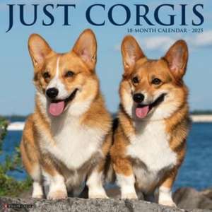 Just Corgis 2025 12 X 12 Wall Calendar de Willow Creek Press