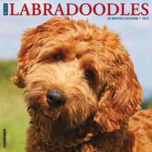 Just Labradoodles 2025 12 X 12 Wall Calendar de Willow Creek Press