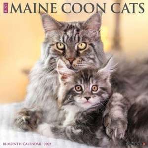 Just Maine Coon Cats 2025 12 X 12 Wall Calendar de Willow Creek Press