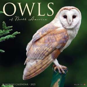 Owls 2025 12 X 12 Wall Calendar de Willow Creek Press