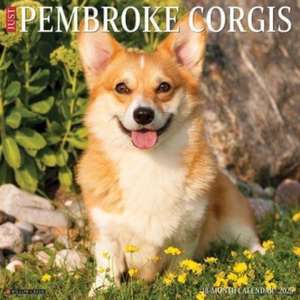 Just Pembroke Corgis 2025 12 X 12 Wall Calendar de Willow Creek Press