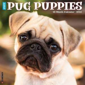 Just Pug Puppies 2025 12 X 12 Wall Calendar de Willow Creek Press