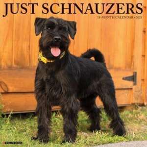 Just Schnauzers 2025 12 X 12 Wall Calendar de Willow Creek Press