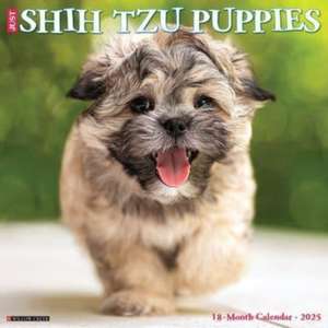 Just Shih Tzu Puppies 2025 12 X 12 Wall Calendar de Willow Creek Press