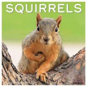 Squirrels 2025 12 X 12 Wall Calendar de Willow Creek Press