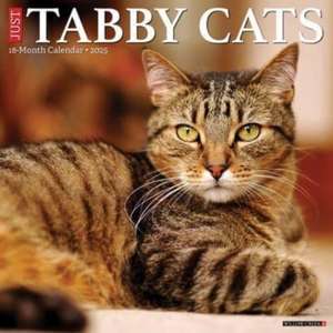 Just Tabby Cats 2025 12 X 12 Wall Calendar de Willow Creek Press