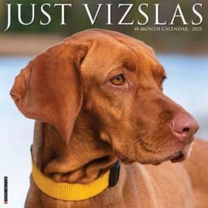 Just Vizslas 2025 12 X 12 Wall Calendar de Willow Creek Press