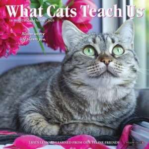 What Cats Teach Us 2025 7 X 7 Mini Wall Calendar de Willow Creek Press