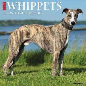 Just Whippets 2025 12 X 12 Wall Calendar de Willow Creek Press