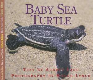 Baby Sea Turtle de Aubrey Lang