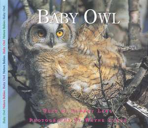 Baby Owl de Aubrey Lang