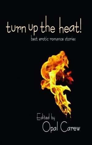 Turn Up the Heat: Best Erotic Romance Novellas de Lauren Hawkeye