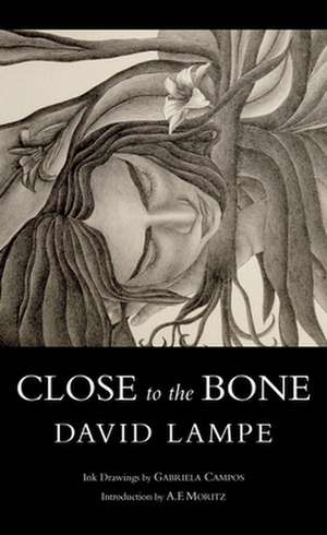 Close to the Bone de David Lampe