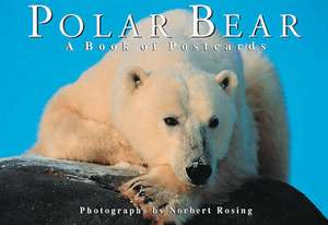 Polar Bear de Norbert Rosing