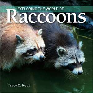 Exploring the World of Raccoons de Tracy C. Read