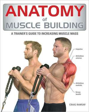 Anatomy of Muscle Building: A Trainer's Guide to Increasing Muscle Mass de Craig Ramsay