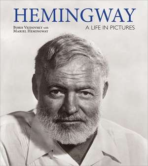 Hemingway de Boris Vejdovsky