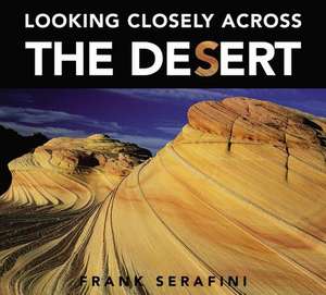 Looking Closely Across the Desert de Frank Serafini