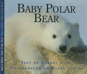 Baby Polar Bear de Aubrey Lang