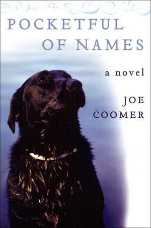 Pocketful Of Names: A Novel de Joe Coomer