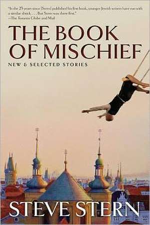 The Book of Mischief: New and Selected Stories de Steve Stern