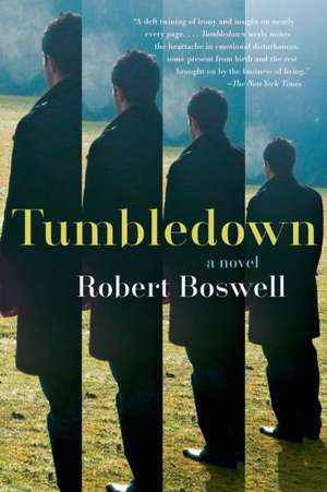 Tumbledown de Robert Boswell