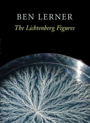 The Lichtenberg Figures de Ben Lerner