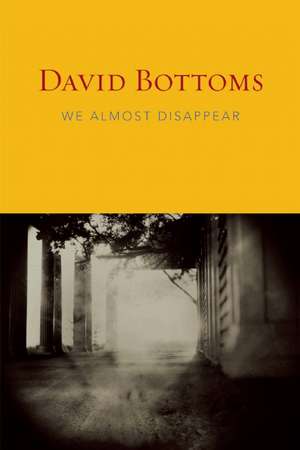 We Almost Disappear de David Bottoms