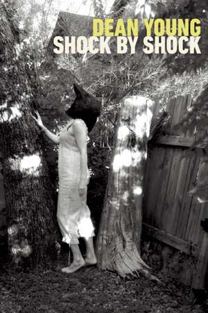 Shock by Shock de Dean Young