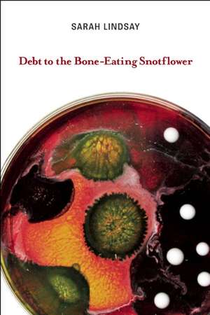 Debt to the Bone-Eating Snotflower de Sarah Lindsay