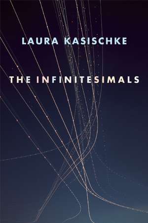 The Infinitesimals de Laura Kasischke