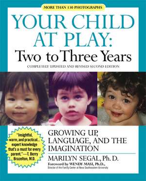 Your Child at Play Two to Three Years: Growing Up, Language, and the Imagination de Marilyn Segal