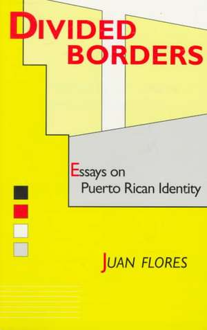 Divided Borders: Essays on Puerto Rican Identity de Juan Flores