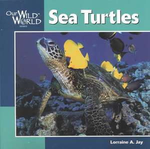 Sea Turtles de Lorraine A. Jay