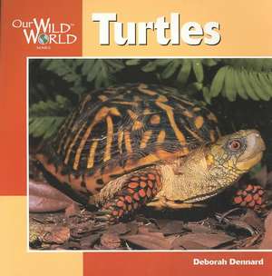 Turtles de Deborah Dennard