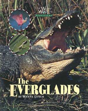 Everglades de Wayne Lynch