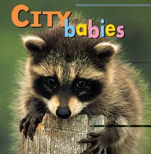 City Babies de Kristen McCurry