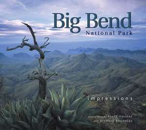 Big Bend National Park: Impressions de Steve Guynes