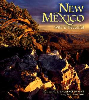 New Mexico Wild & Beautiful de Emily Drabanski