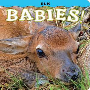 Elk Babies! de Steph Lehmann