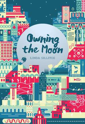 Owning the Moon: Poetry de Linda Sillitoe