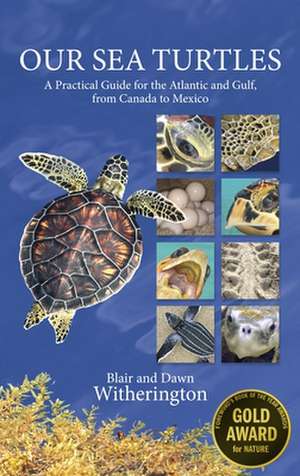 Our Sea Turtles: A Practical Guide for the Atlantic and Gulf, from Canada to Mexico de Blair Witherington