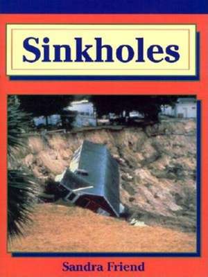 Sinkholes de Sandra Friend